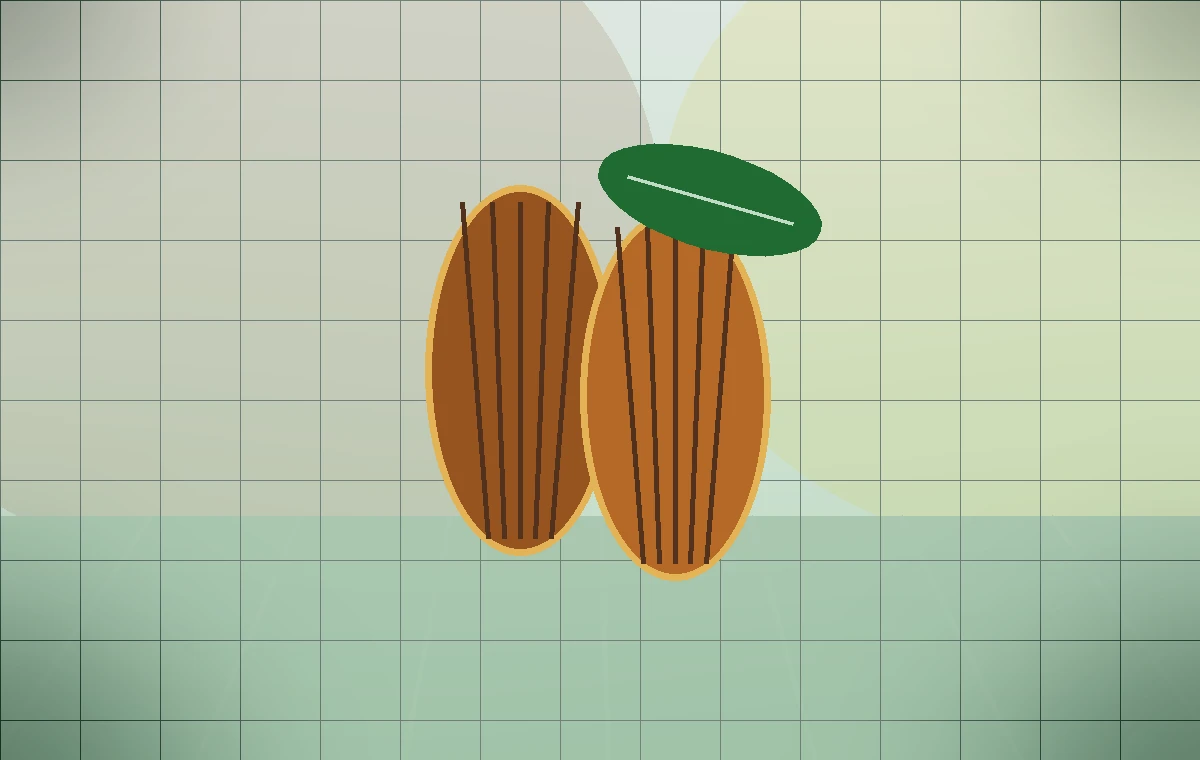 Ilustracion de cacao para programa IMBA